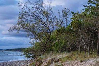 3·28匿名爆料炸锅：1974年“霸总”被指私联粉丝王耀庆等人无辜被卷入