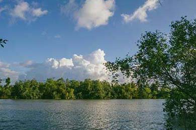 知情人爆料肖战经纪公司解约内幕！称赞肖战“有高度”魅力巨大